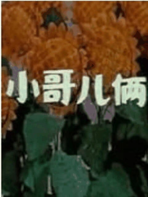 360漫画_小哥儿俩封面在线看